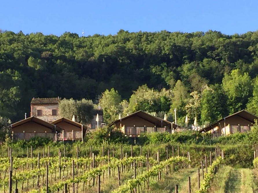 63 glamping in de marken 1