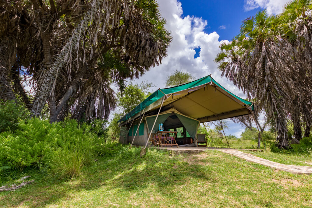 534 lake manza 1