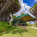 534 lake manza 1
