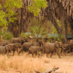 534 lake selous 1